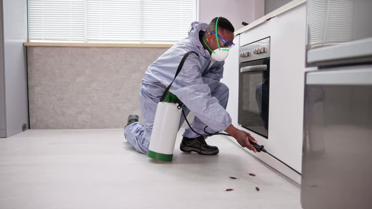 Best Real Estate Pest Inspections  in North Merrick, NY